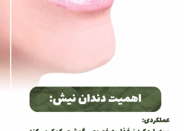 [object object] مراقبت های پس از درمان ریشه                                                     20240812 132849 0000 260x185  مطالب دندانپزشکی  D8 A7 D9 87 D9 85 DB 8C D8 AA  DA 86 DA A9 D8 A7 D9 BE  D8 AF D9 86 D8 AF D8 A7 D9 86  D9 87 D8 A7  D8 AF D8 B1  DA 86 DB 8C D8 B3 D8 AA D8 9F 20240812 132849 0000 260x185